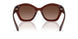 5841T5 - Brown - Brown Gradient Polar