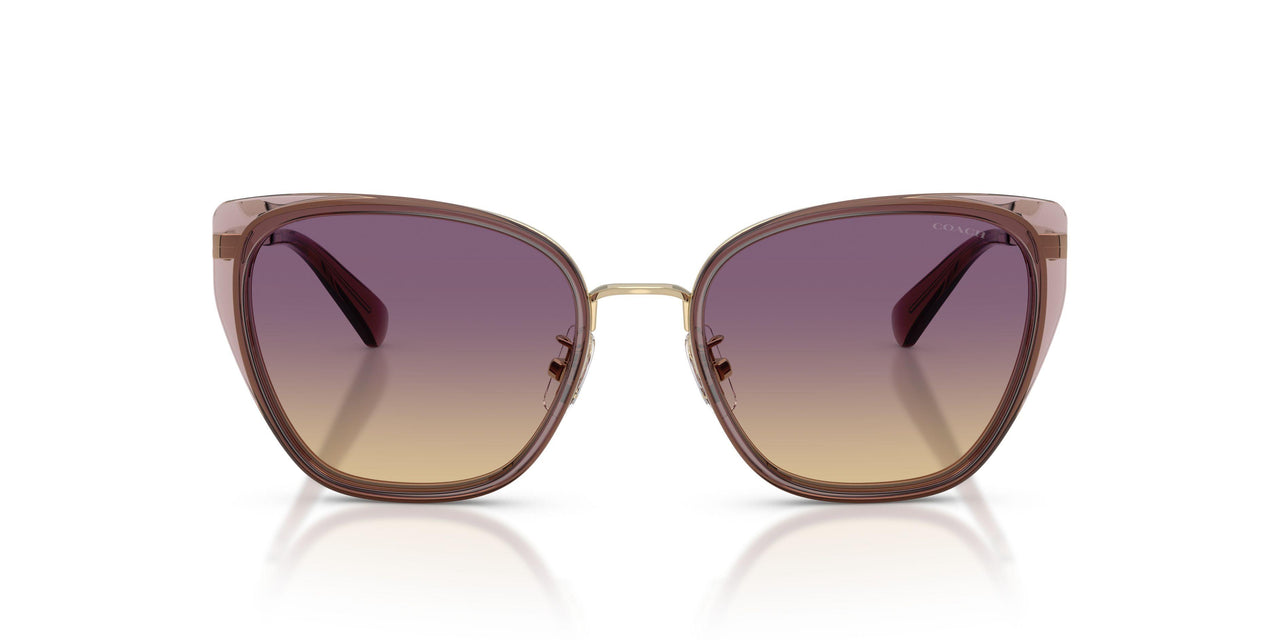 948570 - Violet - Iris Yellow Gradient
