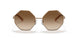 610313 - Gold - Gradient Brown