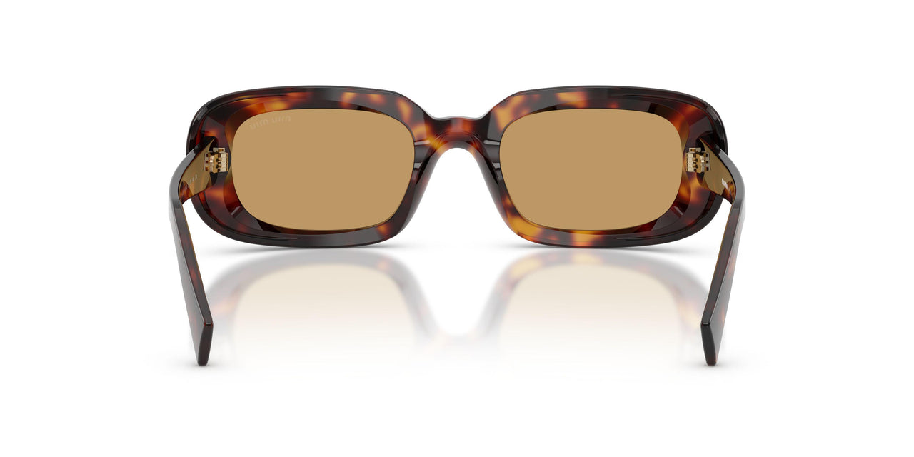 27L10Y - Tortoise - Brown
