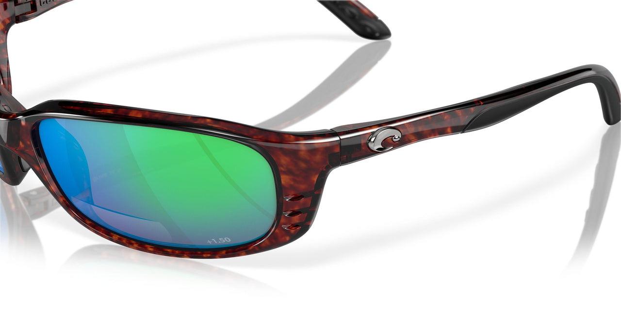 000202 - 10 Tortoise - Green Mirror 580pc-mate 1.50