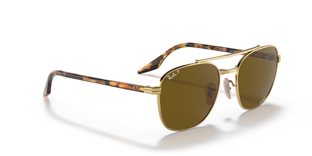001/AN - Gold - Polar Brown