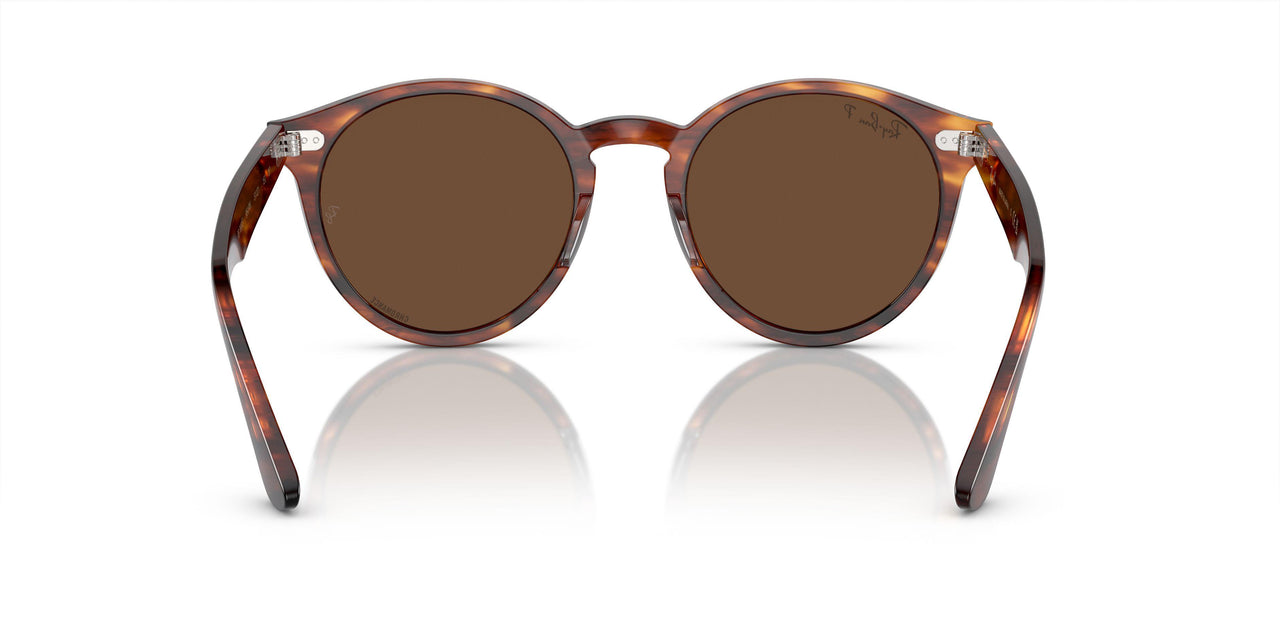 954/AN - Brown - Brown