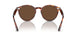 954/AN - Brown - Brown