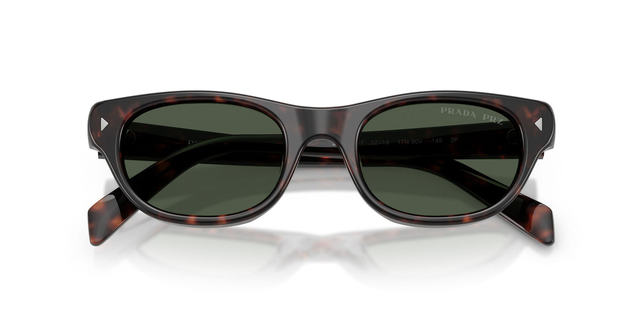 17N90V - Tortoise - Dark Grey Polarized
