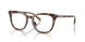 5844 - Brown
