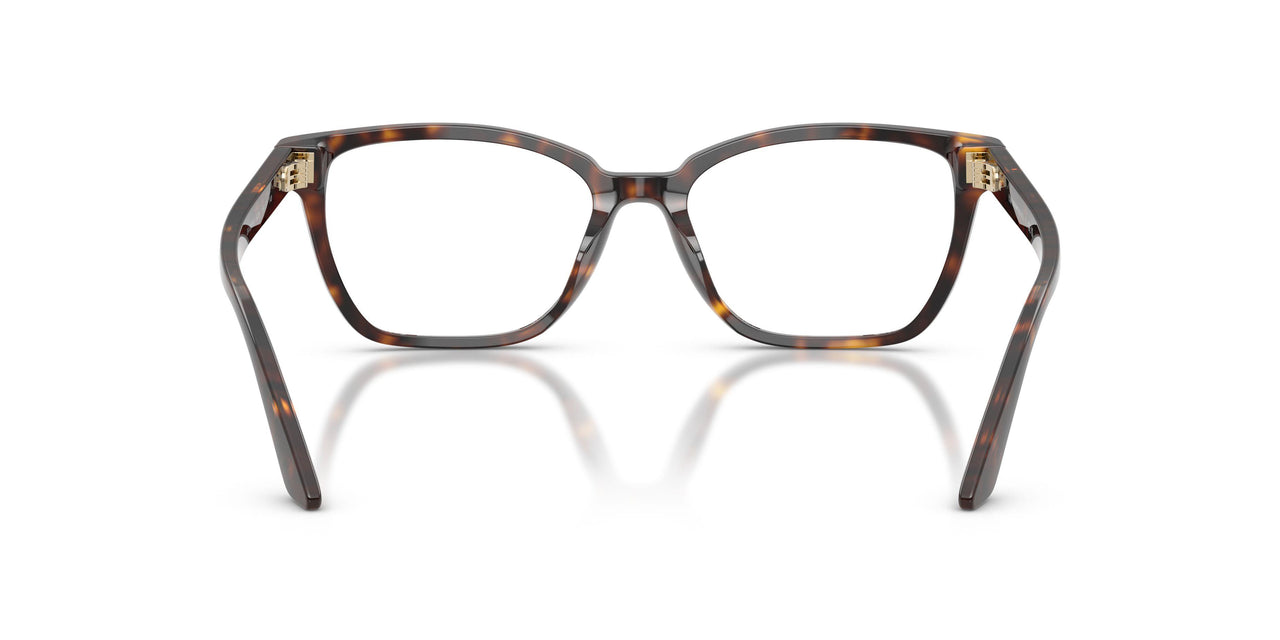5026 - Tortoise