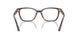 5026 - Tortoise