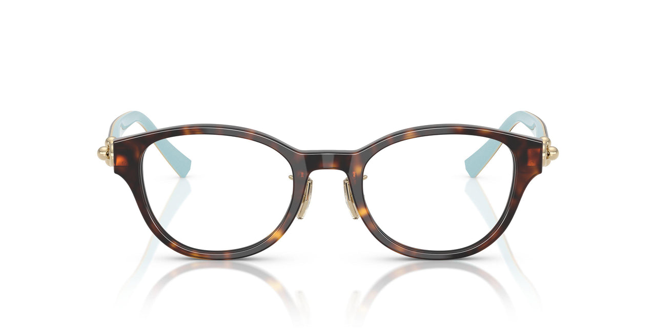 8015 - Tortoise