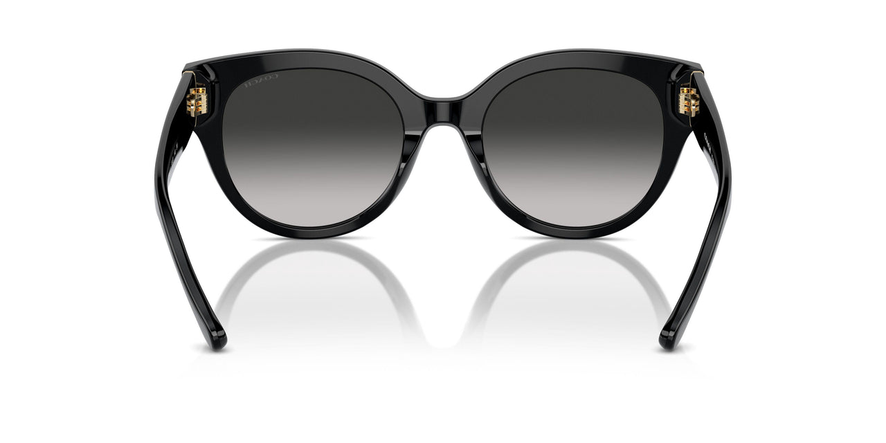 50023C - Black - Grey Gradient