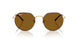 927533 - Havana - Brown