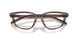 2036 - Brown
