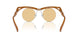 13S80E - Brown - Light Yellow