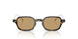 620773 - Tortoise - Brown