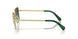 4004E8 - Gold - Green Gradient Brown