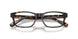 5003 - Tortoise