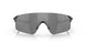 945401 - Black - Prizm Black