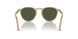 116931 - Brown - Green