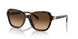 512074 - Havana - Brown Gradient