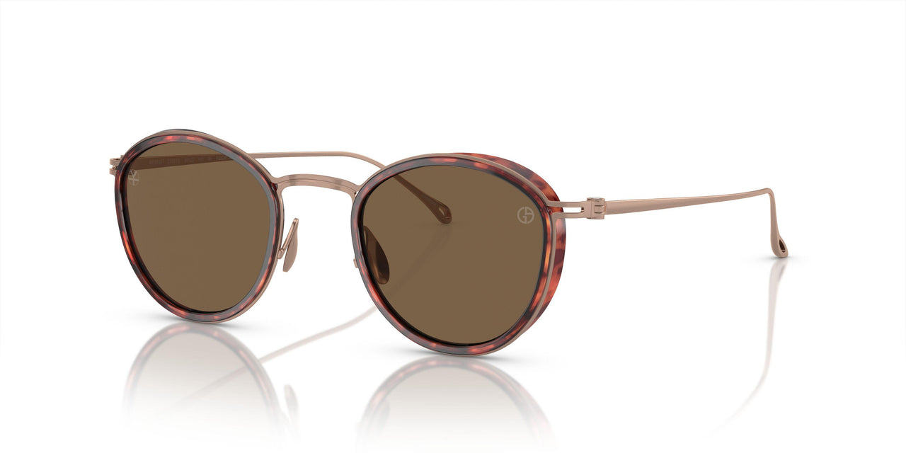 333573 - Tortoise - Dark Brown