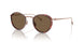 333573 - Tortoise - Dark Brown