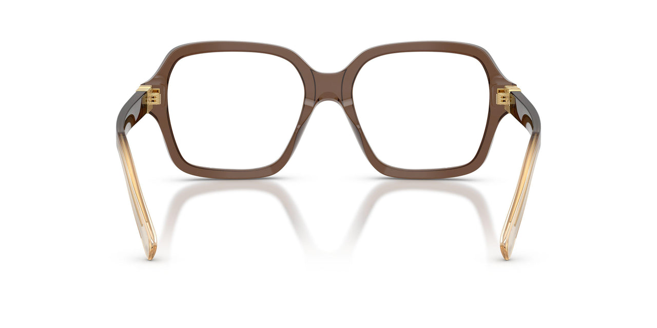 23H1O1 - Brown