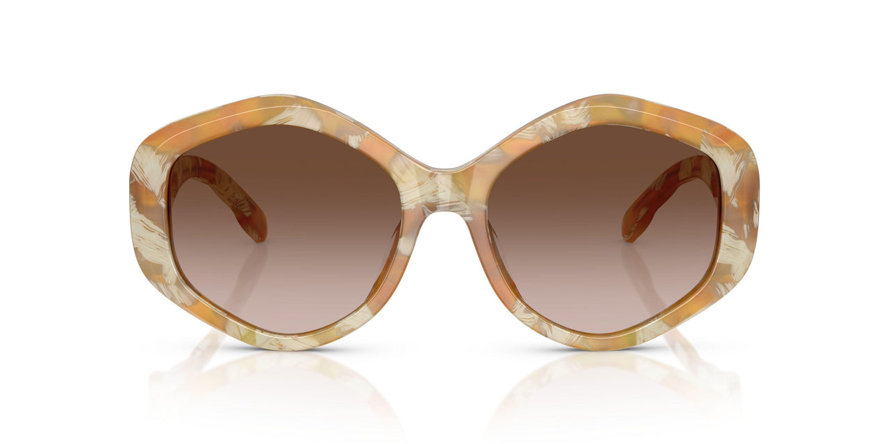 194913 - Tortoise - Brown Gradient