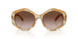194913 - Tortoise - Brown Gradient