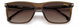 009Q-LA - BROWN - Brown Grad Polz