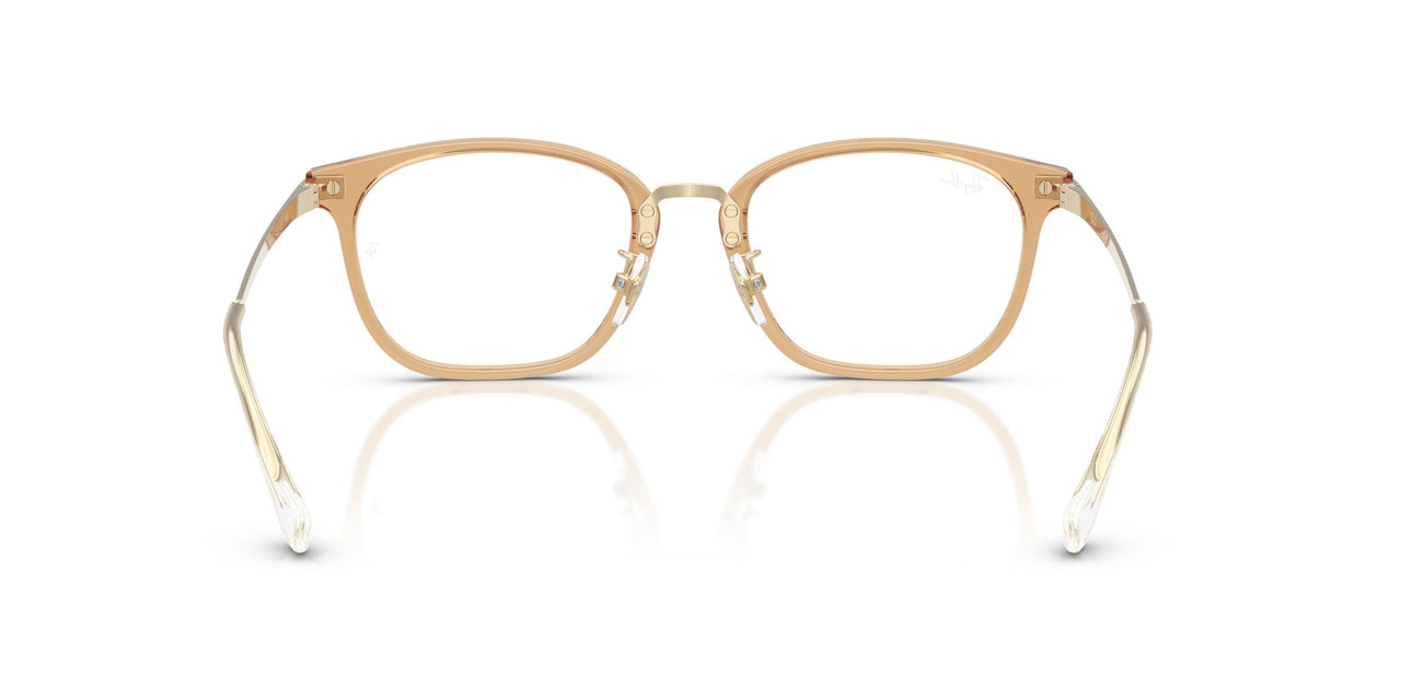 8473 - Brown - Clear