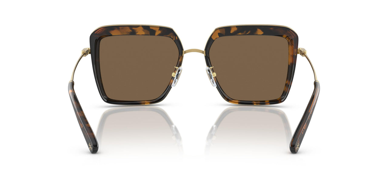 336373 - Tortoise - Dark Brown
