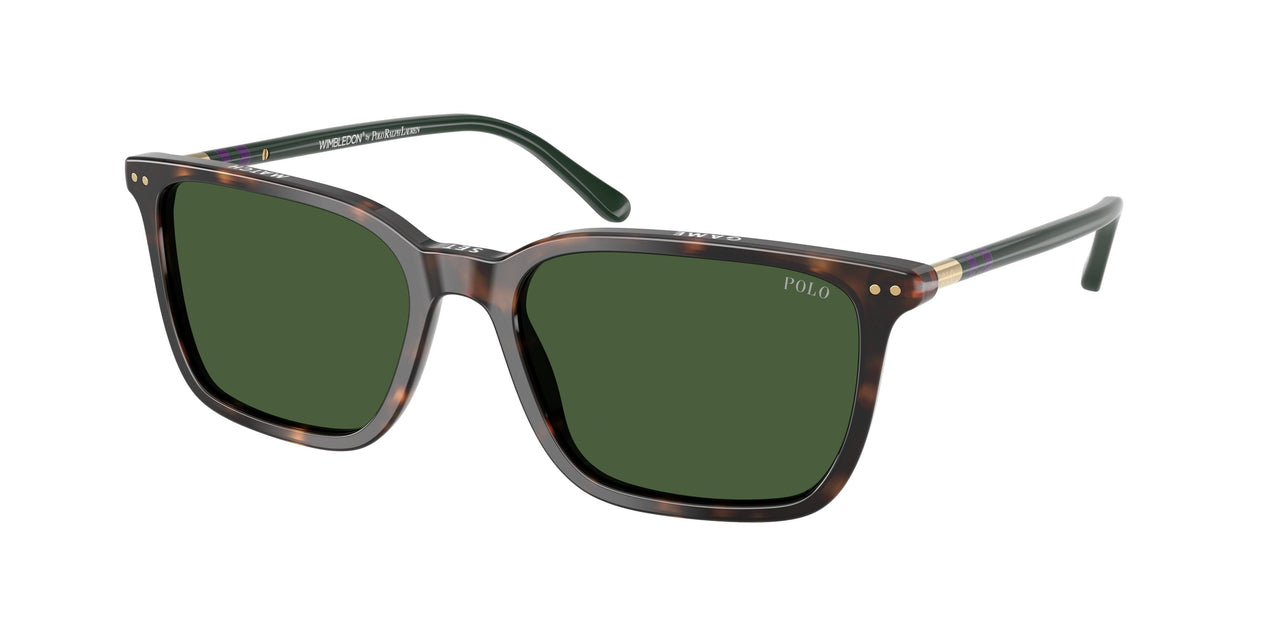 Polo 4226 Sunglasses