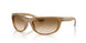 678951 - Brown - Clear Gradient Brown