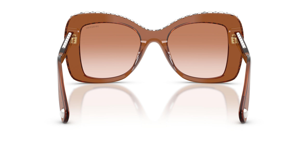 109573 - Brown - Gradient Brown