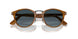 960/S3 - Brown - Light Blue Grad Dlue Polar