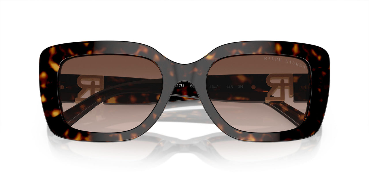 500313 - Tortoise - Gradient Brown
