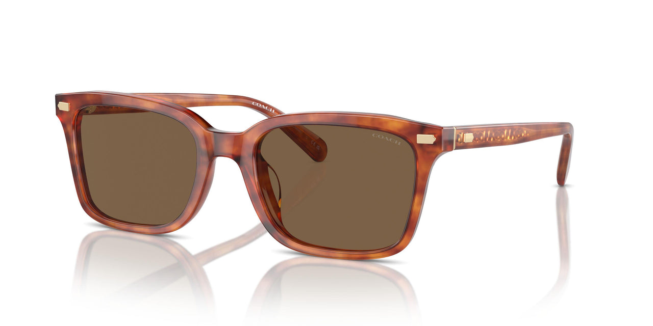 577473 - Tortoise - Brown Solid