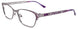 20 - Shiny Grey & Purple