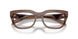 17O1O1 - Brown