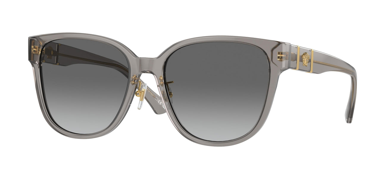 Versace 4460D Sunglasses