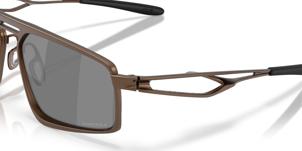 603104 - Brown - Prizm Black