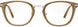 Serengeti SV611004 Eyeglasses
