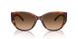 574174 - Tortoise - Brown Gradient