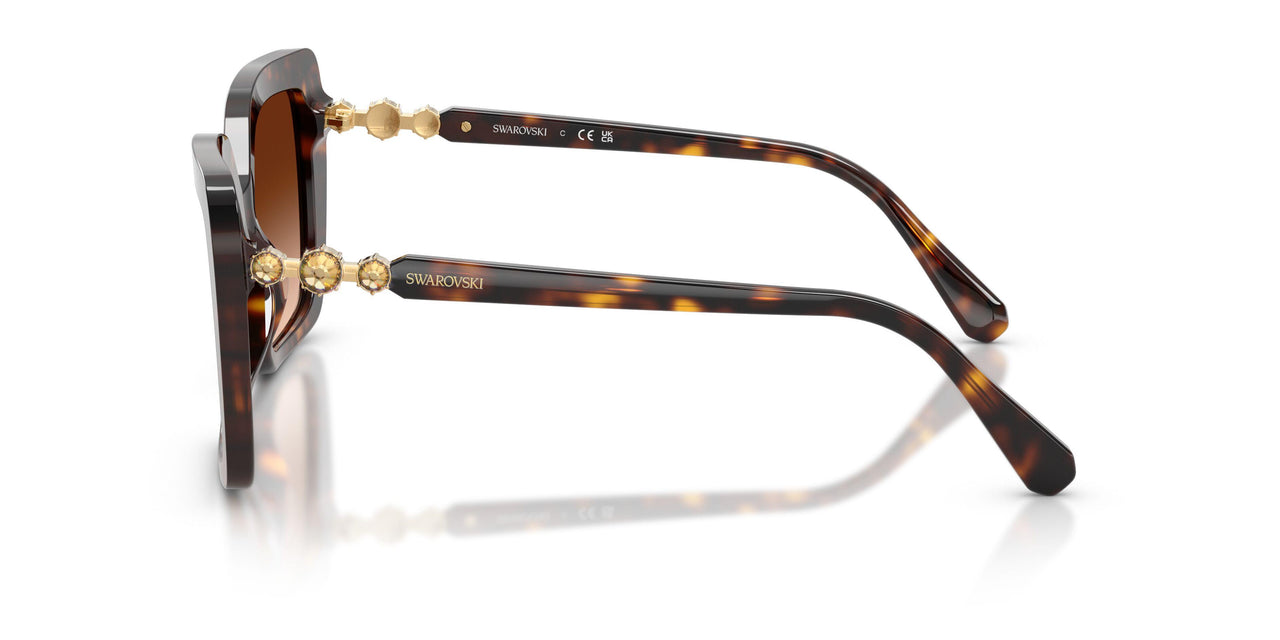 100274 - Tortoise - Gradient Brown