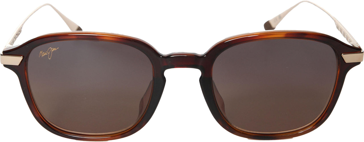 10 - Shiny Dark Havana With Gold - Hcl Bronze