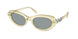 Swarovski 6042 Sunglasses
