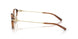 5888 - Brown