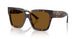 500283 - Tortoise - Polarized Brown