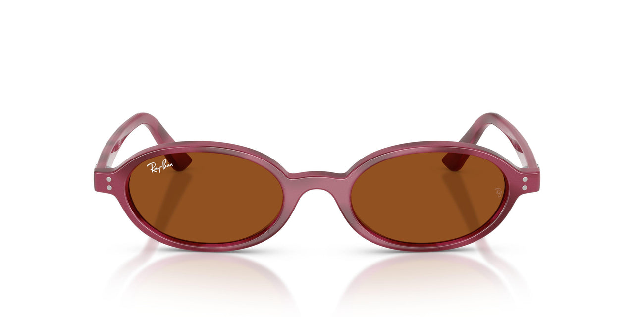 685773 - Violet - Dark Brown