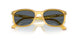 204/R5 - Yellow - Blue